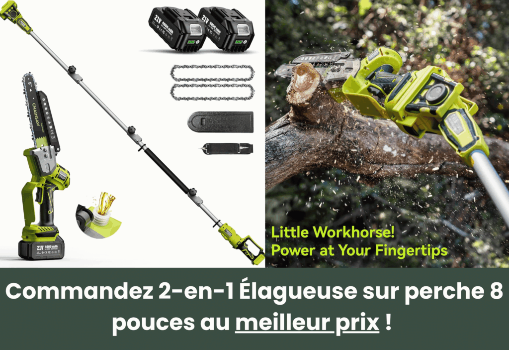 meilleure élagueuse sur perche à batterie supstable