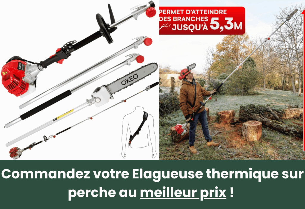 meilleure élagueuse thermique sur perche oxeo