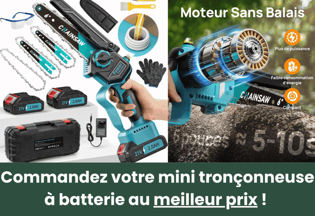 meilleure mini tronçonneuse à batterie viwko