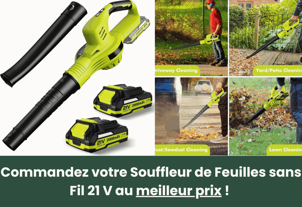 meilleur souffleur à batterie eagerminds