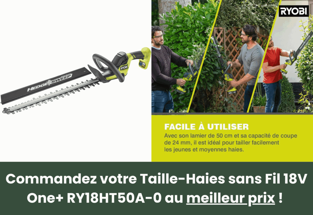 meilleure taille haie batterie ryobi