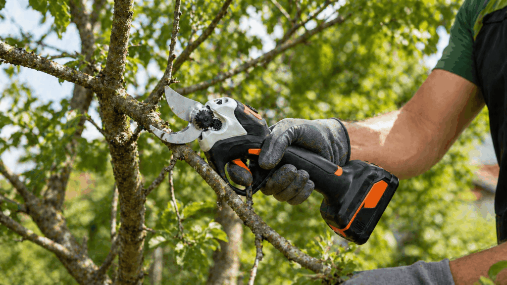 un homme utulisant son sécateur électrique de la marque stihl