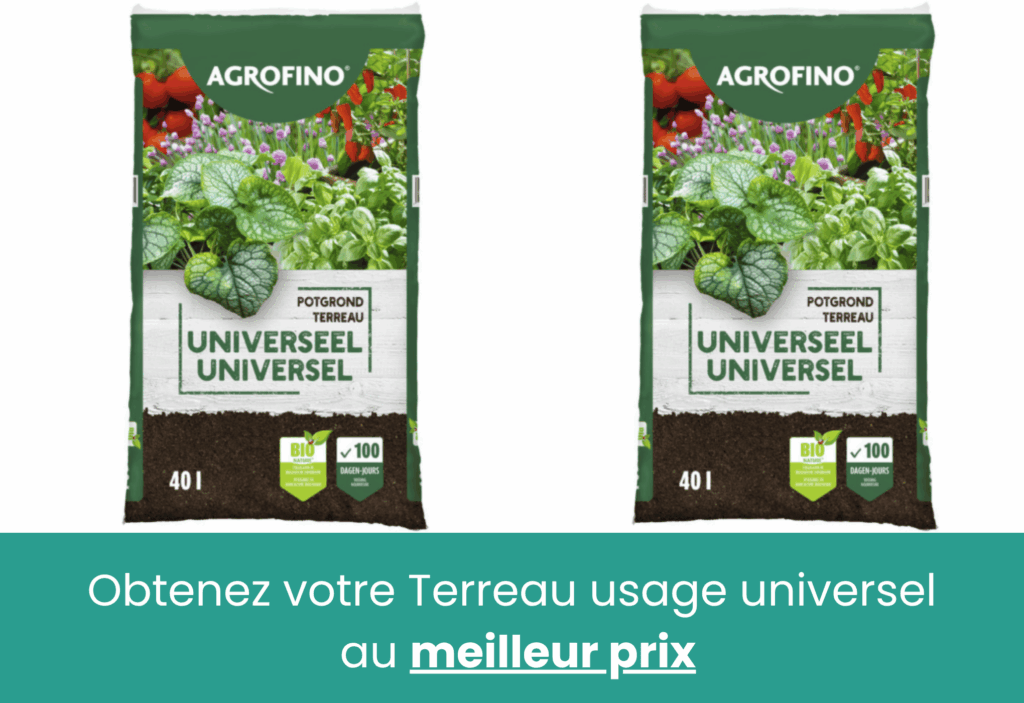meilleur engrais désherbant gazon pretajardiner