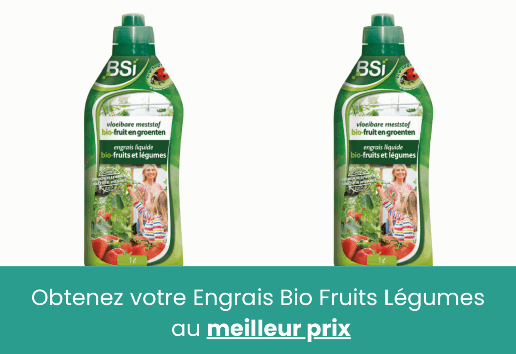 meilleur engrais pour les tomates pretajardiner
