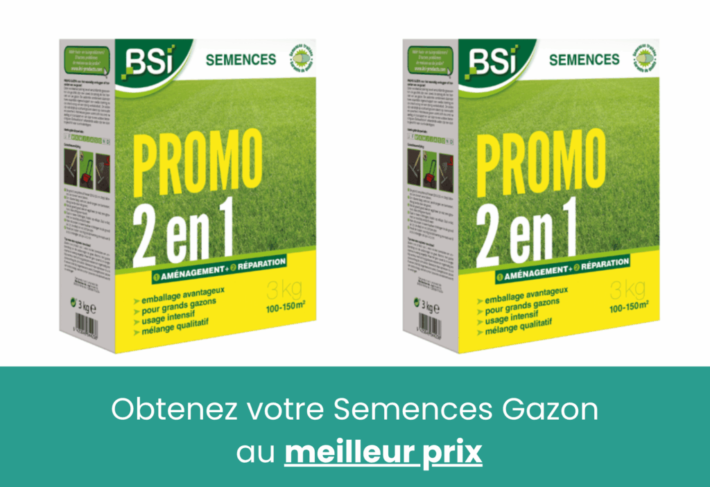 meilleure semence gazon pretajardiner