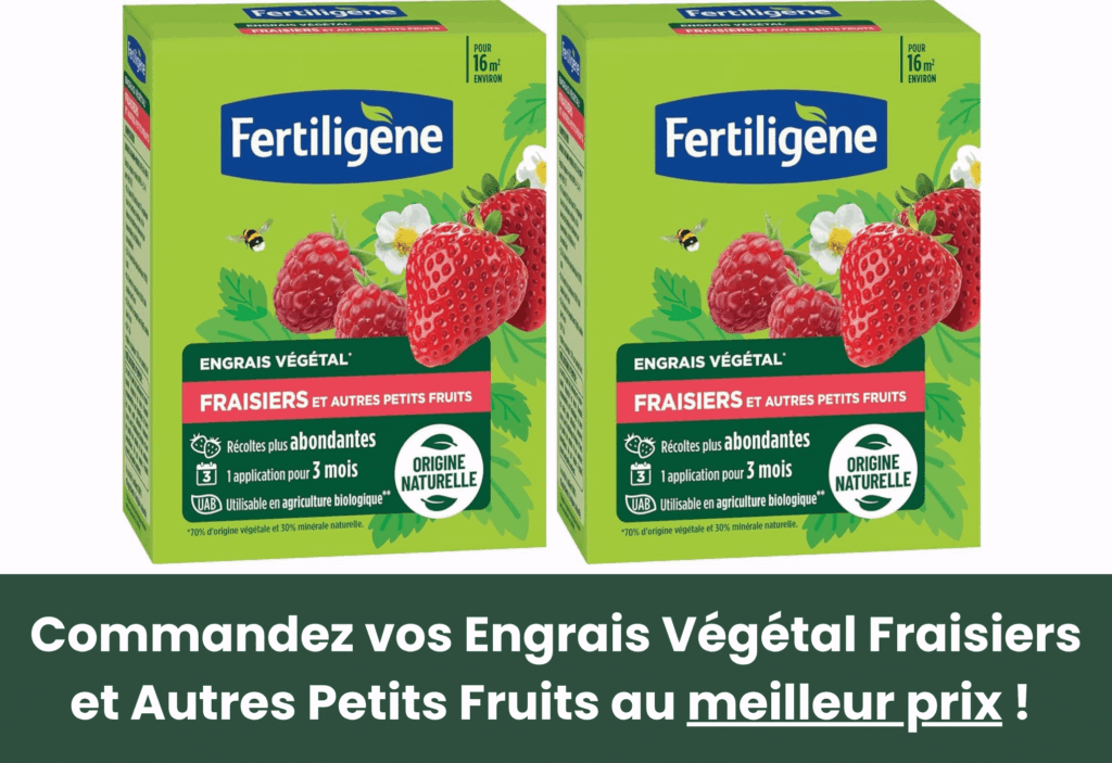 Meilleurs engrais pour les arbres fruitiers Fertiligène