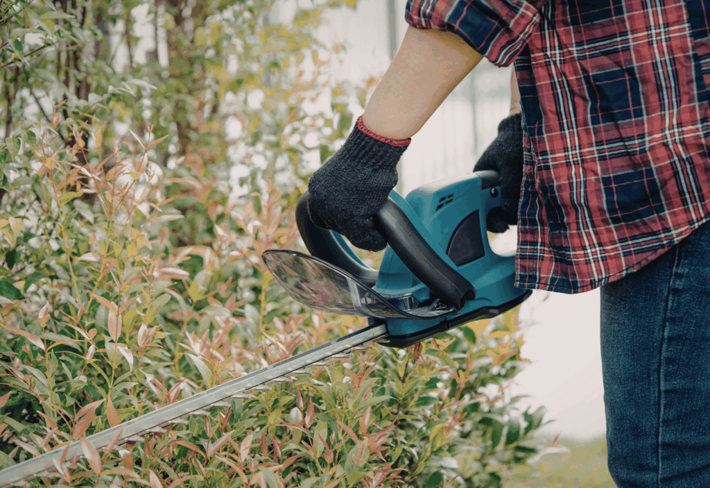 cleva services débrousaailleuse