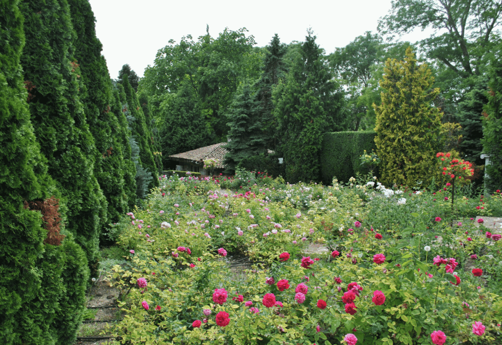 cleva services grand terrain